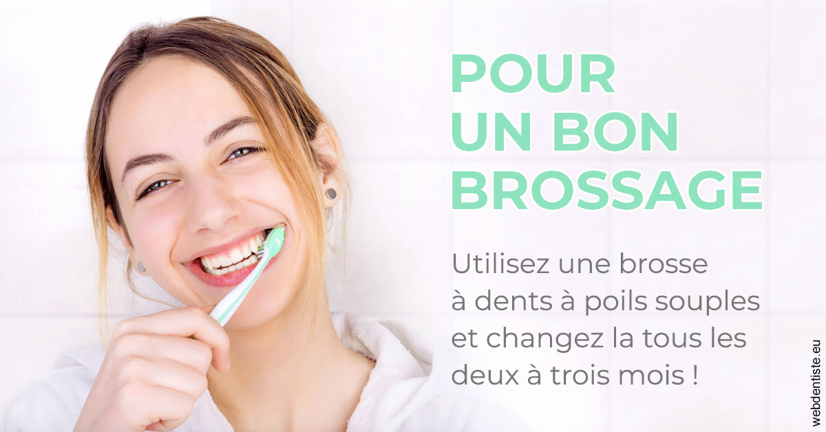https://dr-didier-szwarc.chirurgiens-dentistes.fr/Pour un bon brossage 2