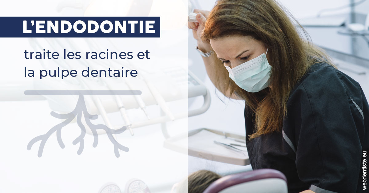 https://dr-didier-szwarc.chirurgiens-dentistes.fr/L'endodontie 1