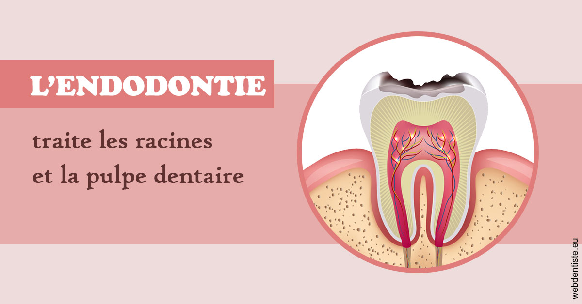 https://dr-didier-szwarc.chirurgiens-dentistes.fr/L'endodontie 2