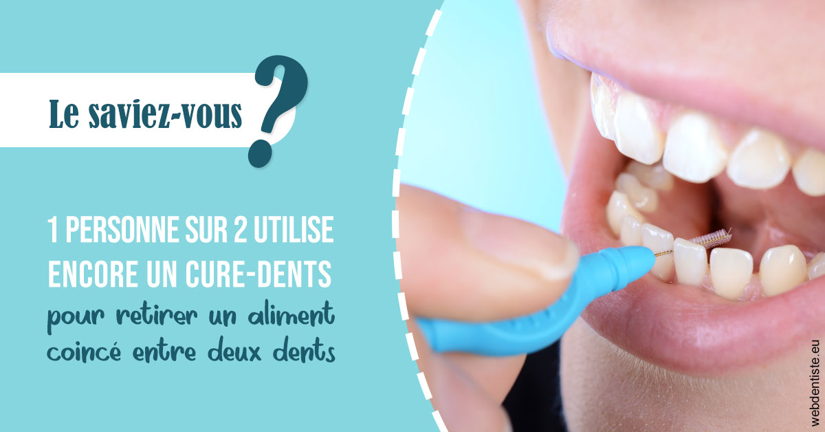 https://dr-didier-szwarc.chirurgiens-dentistes.fr/Cure-dents 1